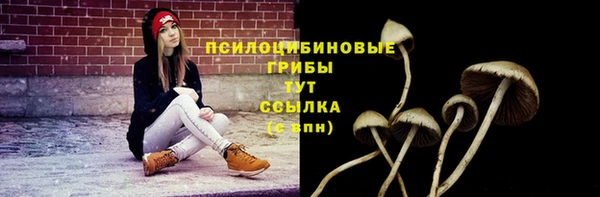 героин Абаза