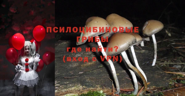 героин Абаза