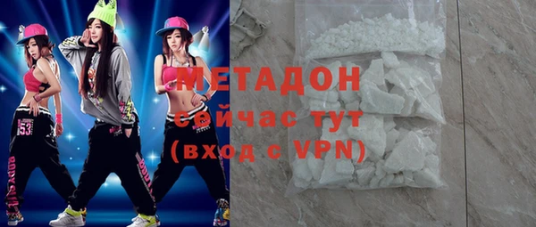 прущие грибы Великий Новгород