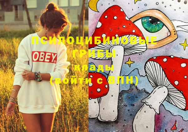 2c-b Абдулино